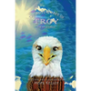 The Adventures of Troy the Bald Eagle - Paperback