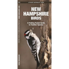 New Hampshire Birds: A Folding Pocket Guide to Familiar Species - Paperback