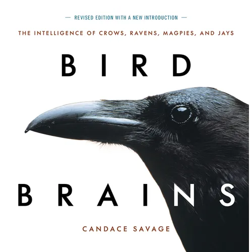 Bird Brains: The Intelligence of Crows, Ravens, Magpies, and Jays - Paperback