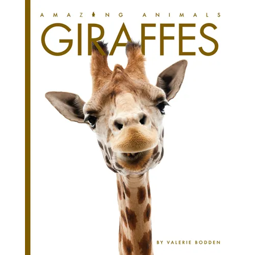 Giraffes - Paperback