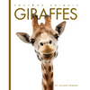 Giraffes - Paperback
