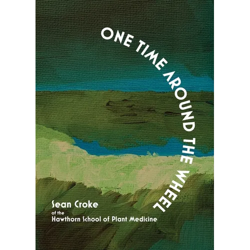 One Time Around the Wheel - Paperback