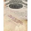 The Catalpa Mining Company of Leadville, Colorado - Paperback