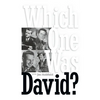 Which One Was David? (hardback) - Hardcover