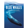 Save the...Blue Whales - Paperback