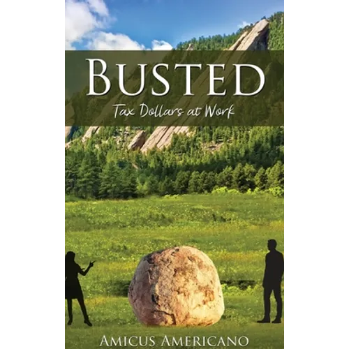 Busted (Tax Dollars at Work) - Hardcover