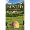 Busted (Tax Dollars at Work) - Hardcover