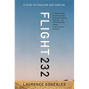 Flight 232: A Story of Disaster and Survival - Paperback