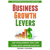 Business Growth Levers: 100 Challenges You Can Turn Into Opportunities - Paperback