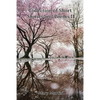Collection of Short Stories and Poems II - Paperback