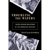 Troubling the Waters: Black-Jewish Relations in the American Century - Paperback