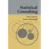 Statistical Consulting - Paperback