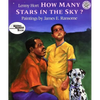 How Many Stars in the Sky? - Paperback