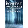 The Forest Poltergeist: Class B Encounters and the Paranormal - Paperback
