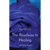 The Roadway to Healing: Uplifiting Poetry - Hardcover