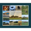 A Year on the Farm - Hardcover