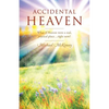 Accidental Heaven: What If Heaven Were a Real, Physical Place...Right Now? - Paperback