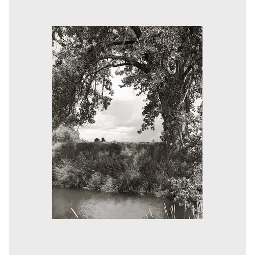 Robert Adams: Cottonwoods - Hardcover