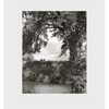 Robert Adams: Cottonwoods - Hardcover