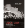 Enigmatic Stream: Industrial Landscapes of the Lower Mississippi River - Paperback