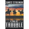 A Trail of Trouble: The Gilmore Brothers' Saga - Paperback