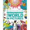 Our World in Pictures: A Visual Encyclopedia of Everything for Kids - Hardcover