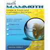 Math Mammoth Grade 8 Tests and Cumulative Reviews - Paperback