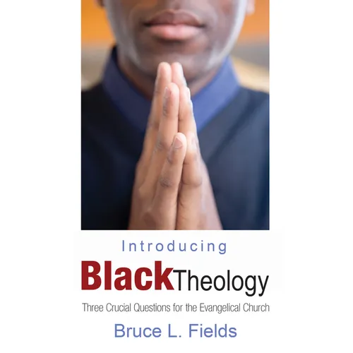 Introducing Black Theology - Paperback