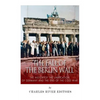 The Fall of the Berlin Wall: The History of the Unification of Germany and the End of the Cold War - Paperback