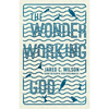 The Wonder-Working God: Seeing the Glory of Jesus in His Miracles - Paperback