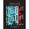 Litplan Teacher Pack: A Raisin in the Sun - Paperback