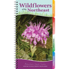 Wildflowers of the Northeast: Your Way to Easily Identify Wildflowers - Spiral