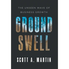 Groundswell: The Unseen Wave of Business Growth - Hardcover