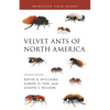 Velvet Ants of North America - Paperback
