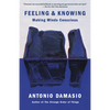 Feeling & Knowing: Making Minds Conscious - Paperback