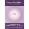 Looking from Within - Paperback