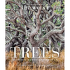 Trees (Gift Edition): Between Earth and Heaven - Hardcover