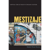 Mestizaje: Critical Uses of Race in Chicano Culture - Paperback