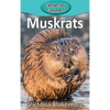 Muskrats - Hardcover