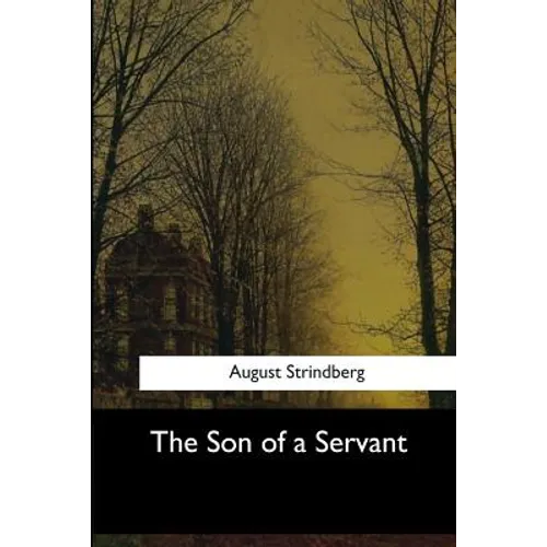 The Son of a Servant - Paperback
