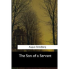 The Son of a Servant - Paperback