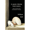 E-Mail From The Soul: New & Selected Leadership Poems - Paperback
