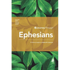 Journey Through Ephesians: 40 Biblical Insights By Robert M. Solomon - Paperback