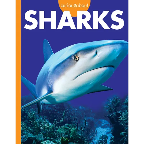 Curious about Sharks - Paperback