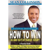 How to Win in and Out of Family Court: A Practical Guide - Paperback