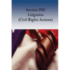 Section 1983 Litigation (Civil Rights Actions) - Paperback