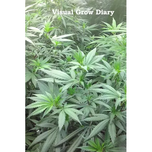Visual Grow Diary - Paperback