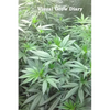 Visual Grow Diary - Paperback