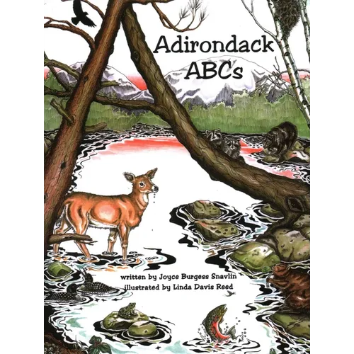 Adirondack ABCs - Paperback