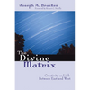 The Divine Matrix - Paperback